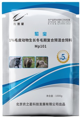 貂宝【冬毛期】